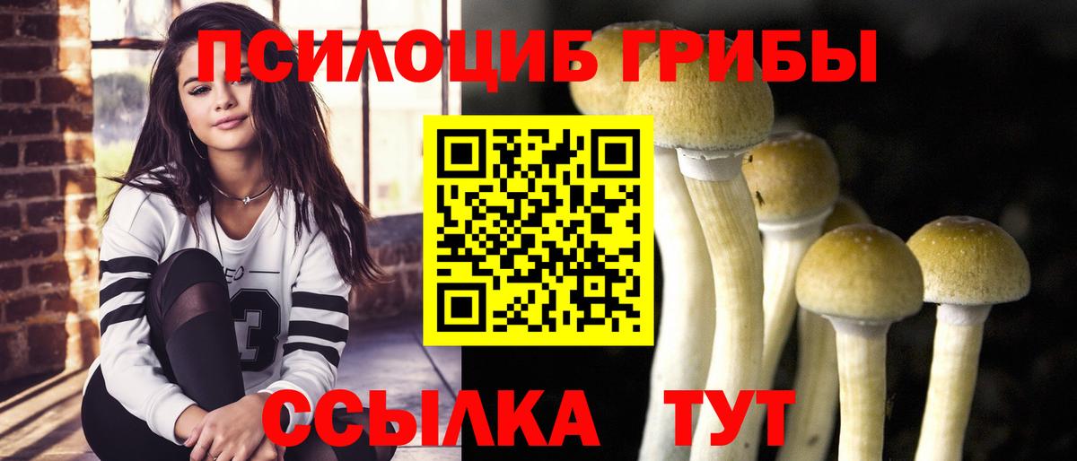 Галлюциногенные грибы мицелий Мыски